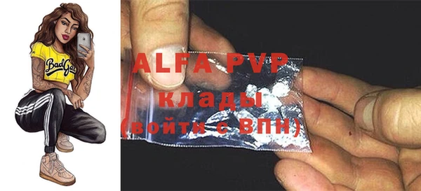 стафф Арсеньев