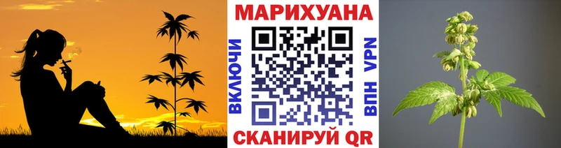 что такое   Ишим  Конопля конопля 
